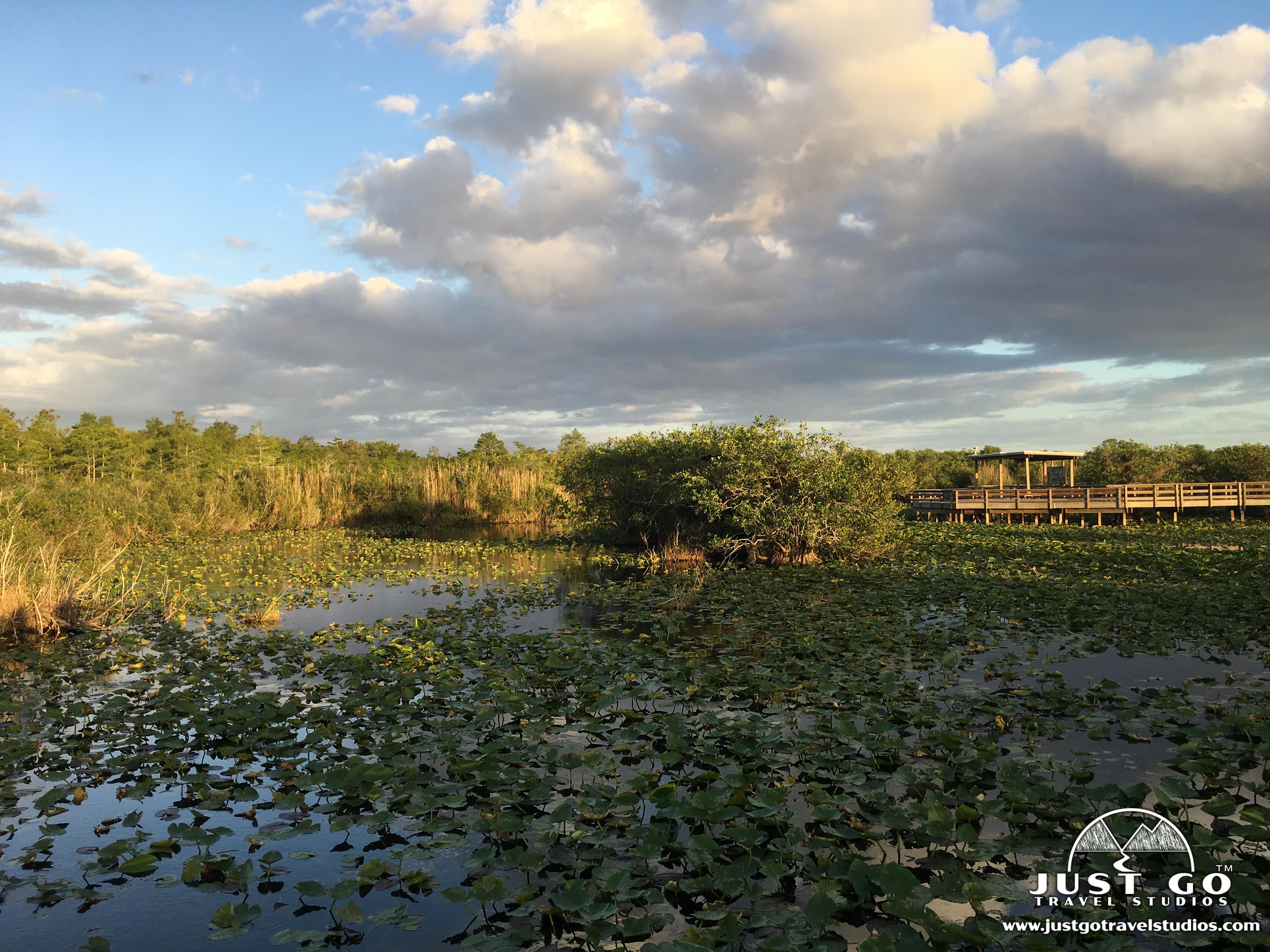 Camping - Everglades National Park (U.S. National Park Service)