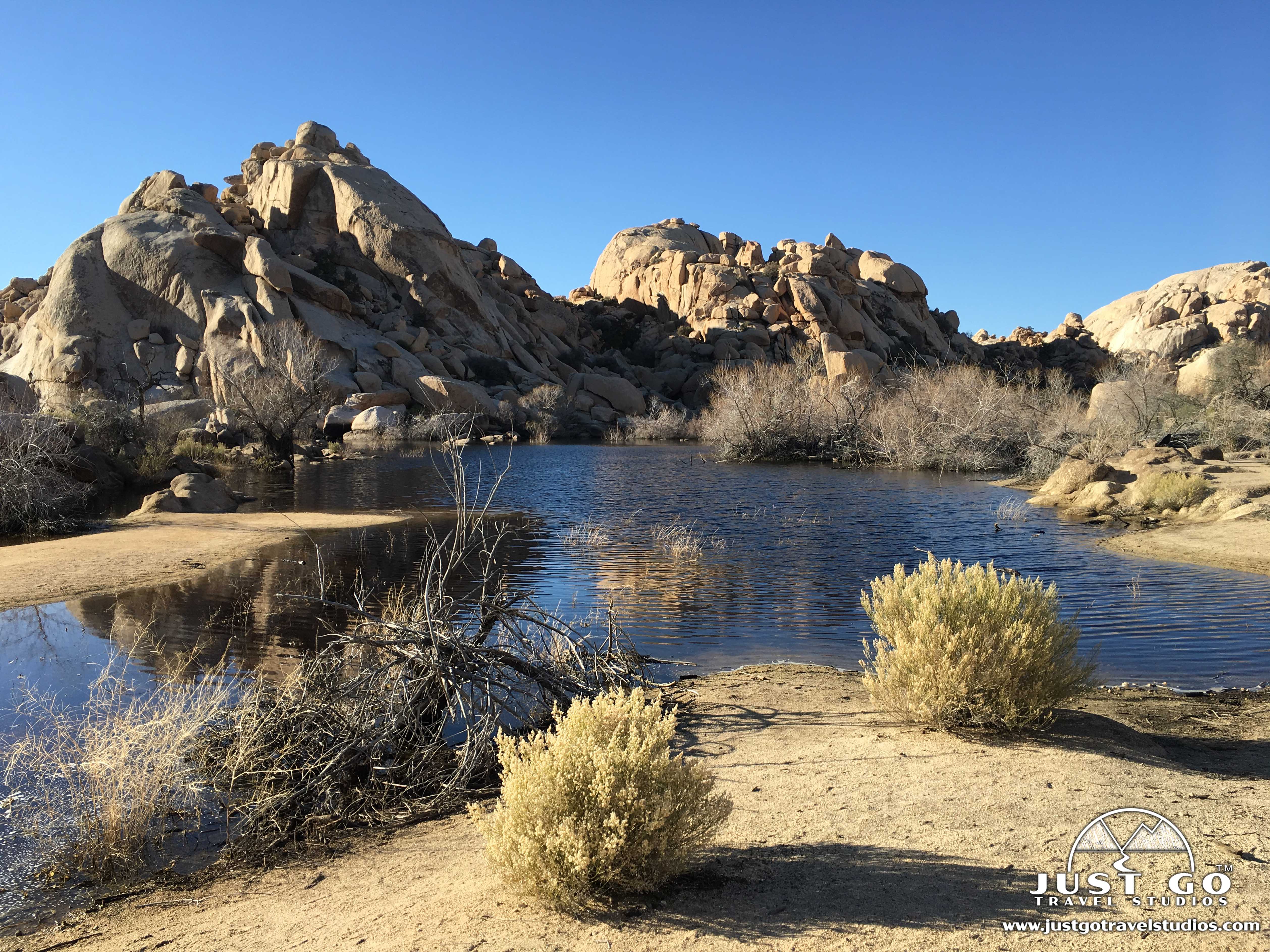 Barker Dam Nature Trail in Joshua Tree National Park Just Go