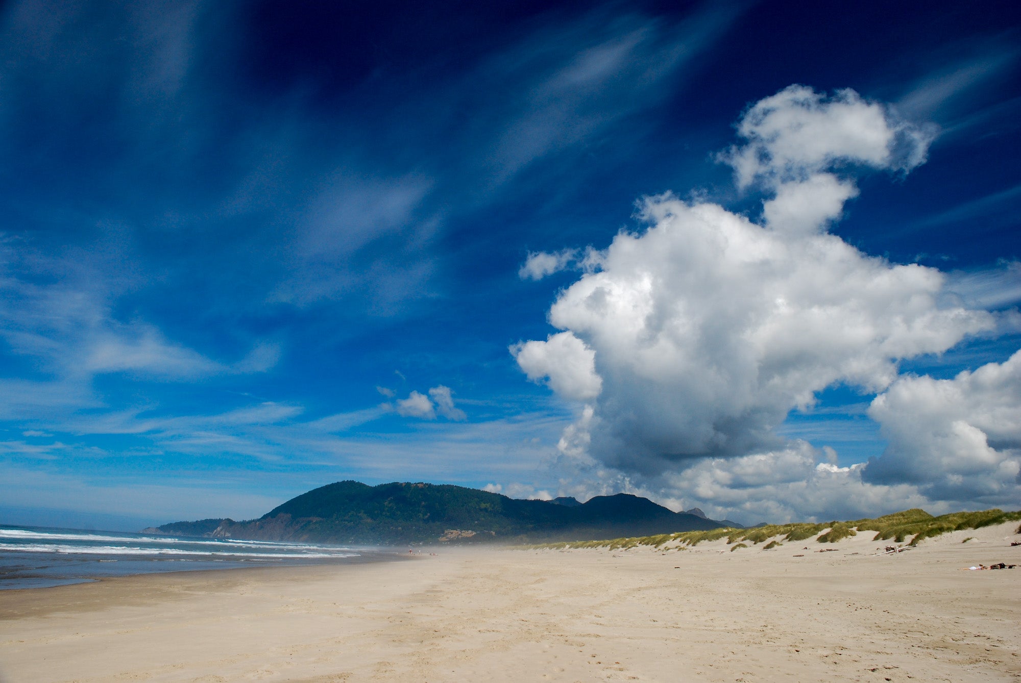 Nehalem Bay State Park: Things To Do, Hiking Trails, Maps, Fees & More 