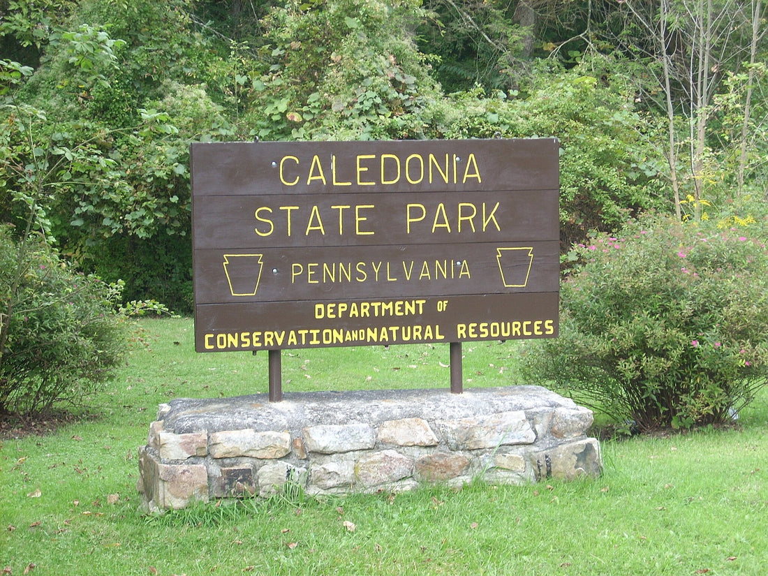 Caledonia State Park entrance sign