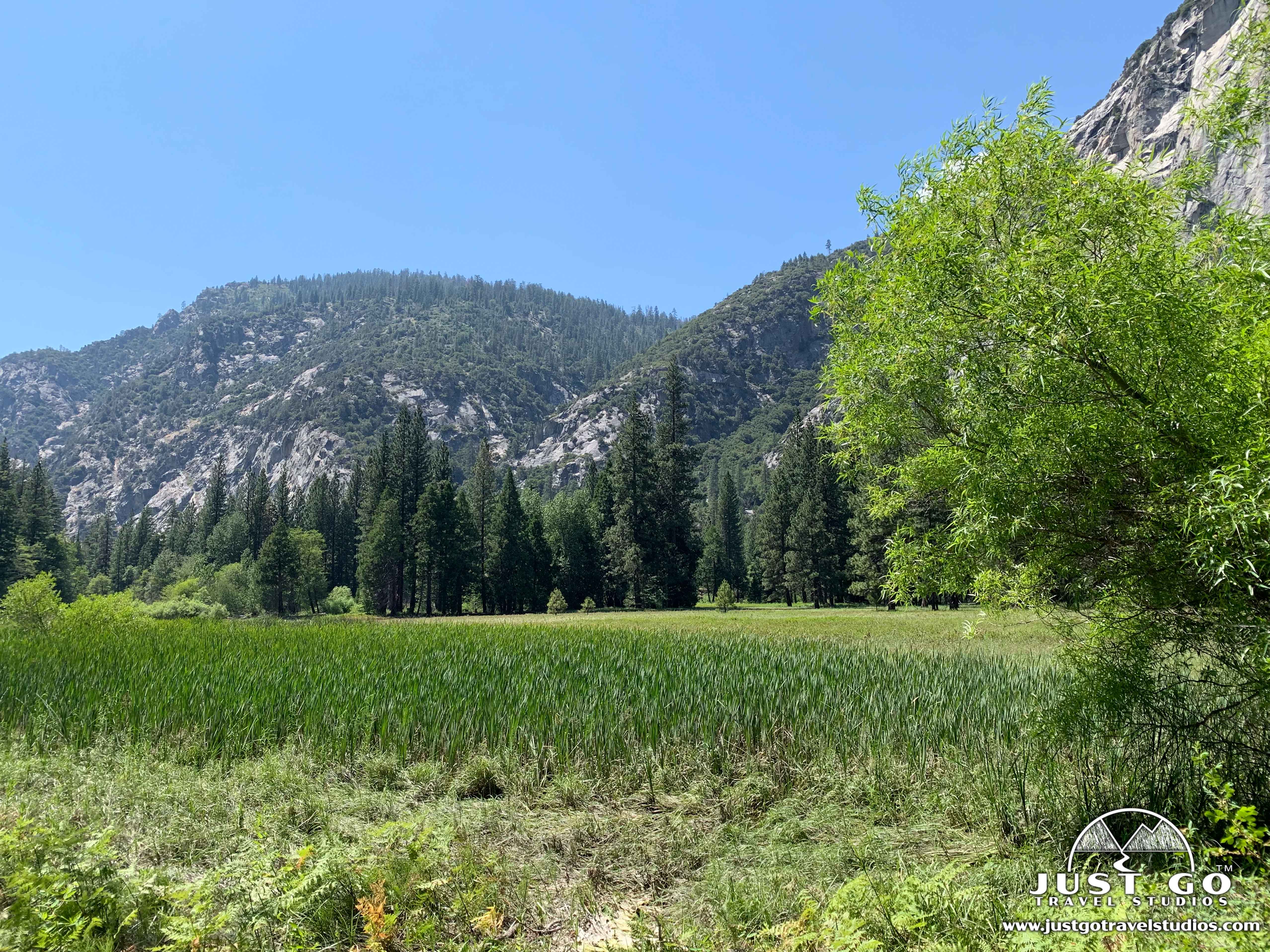 Zumwalt meadow shop loop