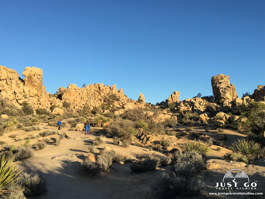 Hikers in Joshua Tree National Park