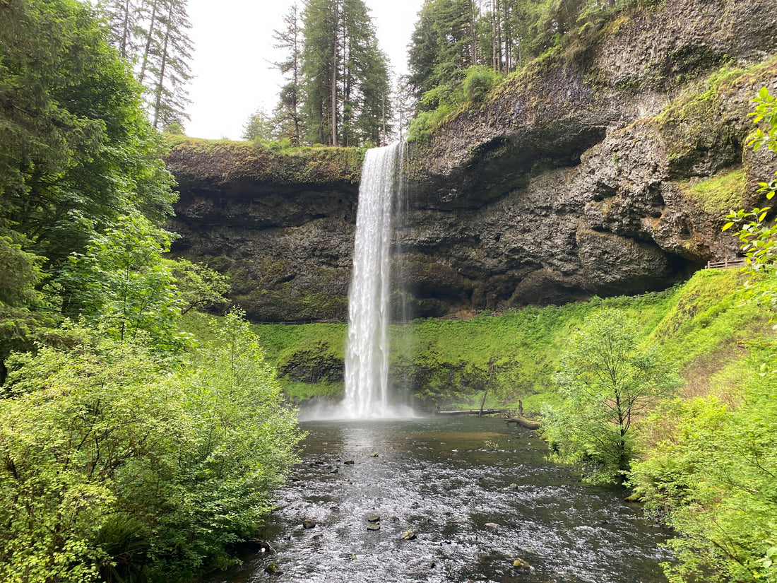 Lower Falls in Silver Falls State Park