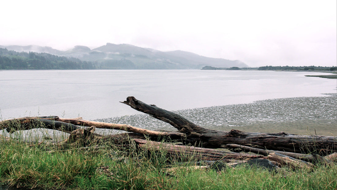 Camping in Nehalem Bay State Park