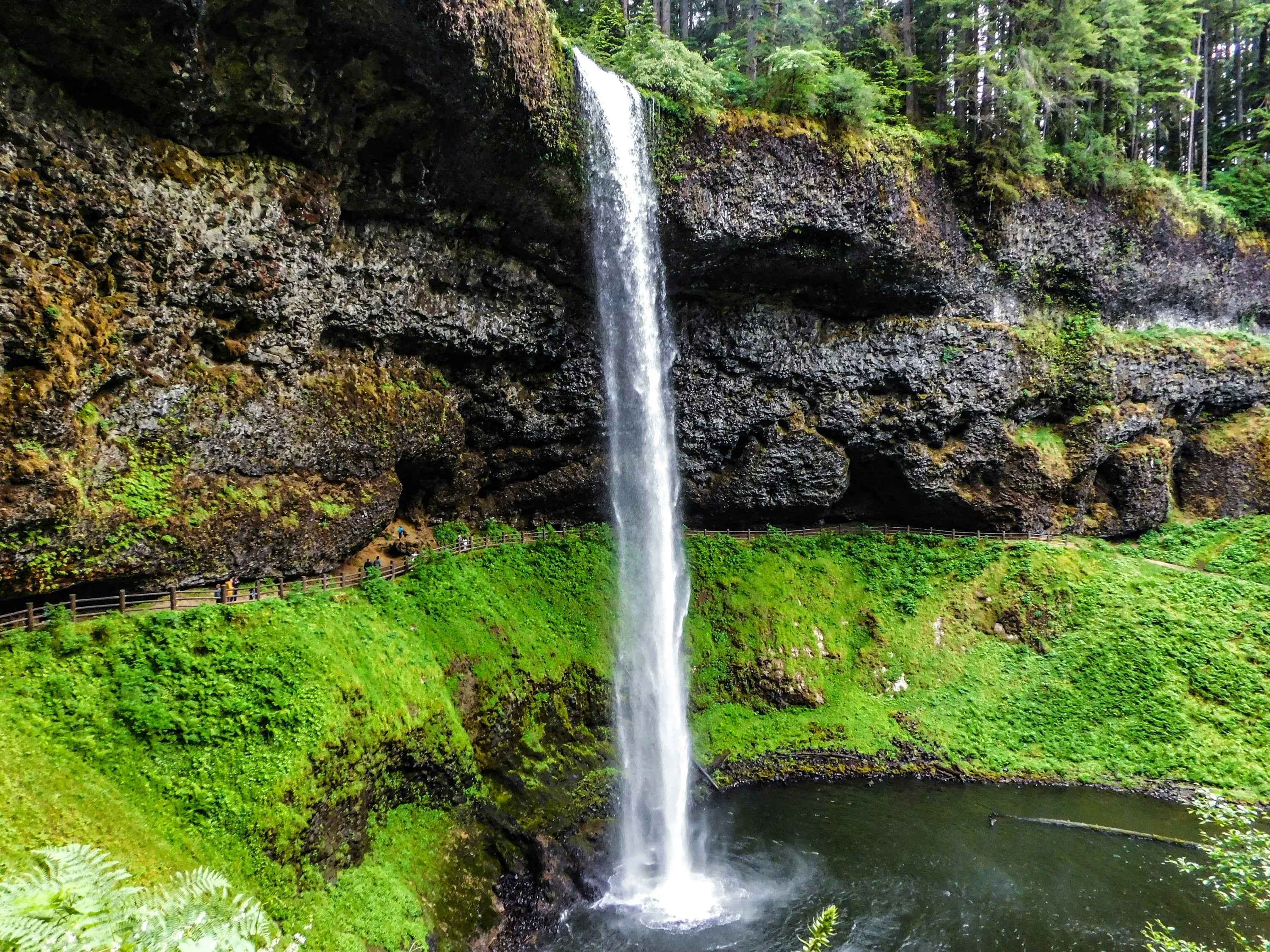 Silver Falls State Park: Things to Do, Maps, Fees, Weather & More ...