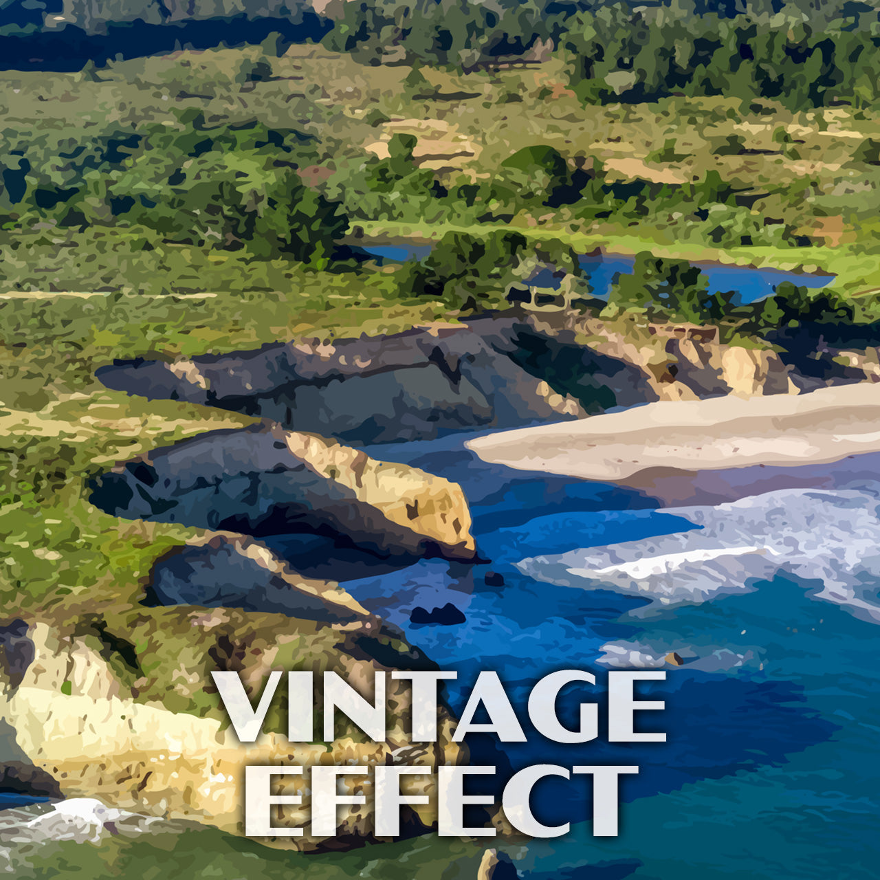 Ano Nuevo State Park Poster-WPA (Beach View)