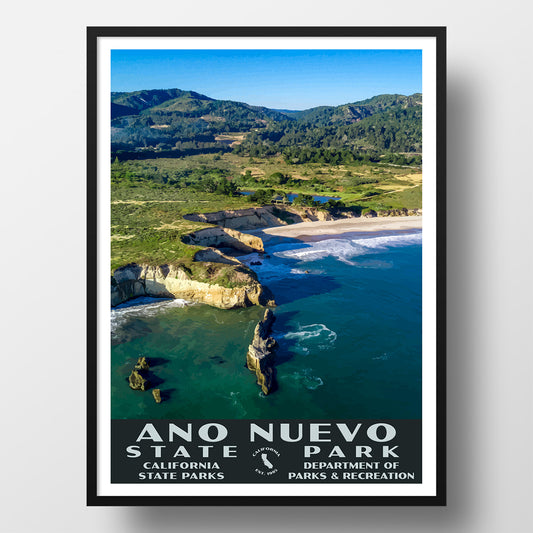 Ano Nuevo State Park poster