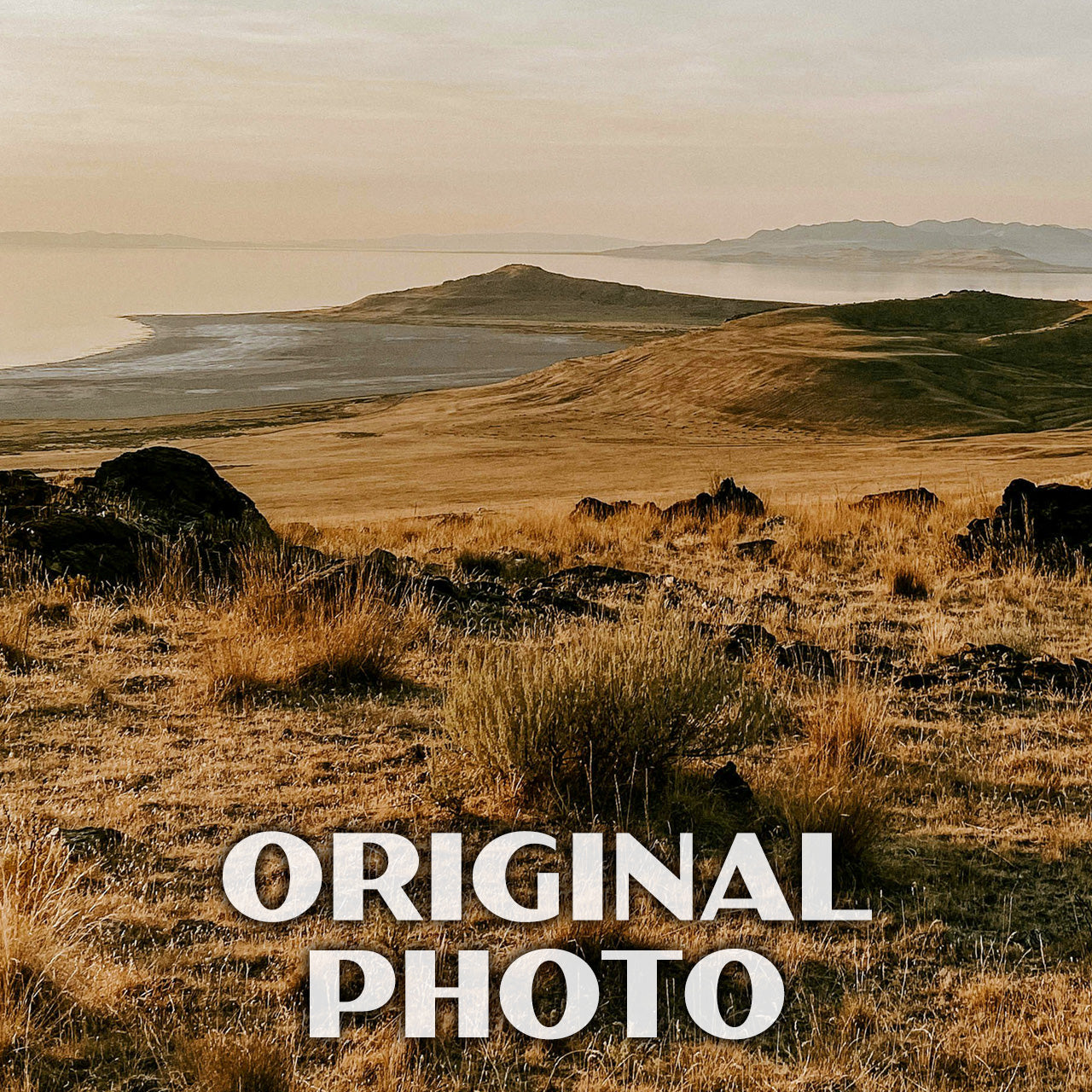 Antelope Island State Park Poster-WPA (Island View)