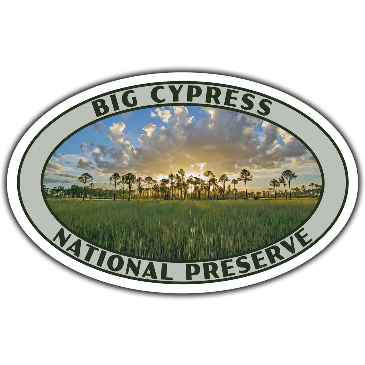 Big Cypress National Preserve Sticker