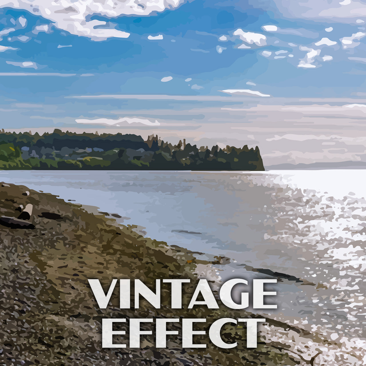 Birch Bay State Park Poster-WPA (Beach View)