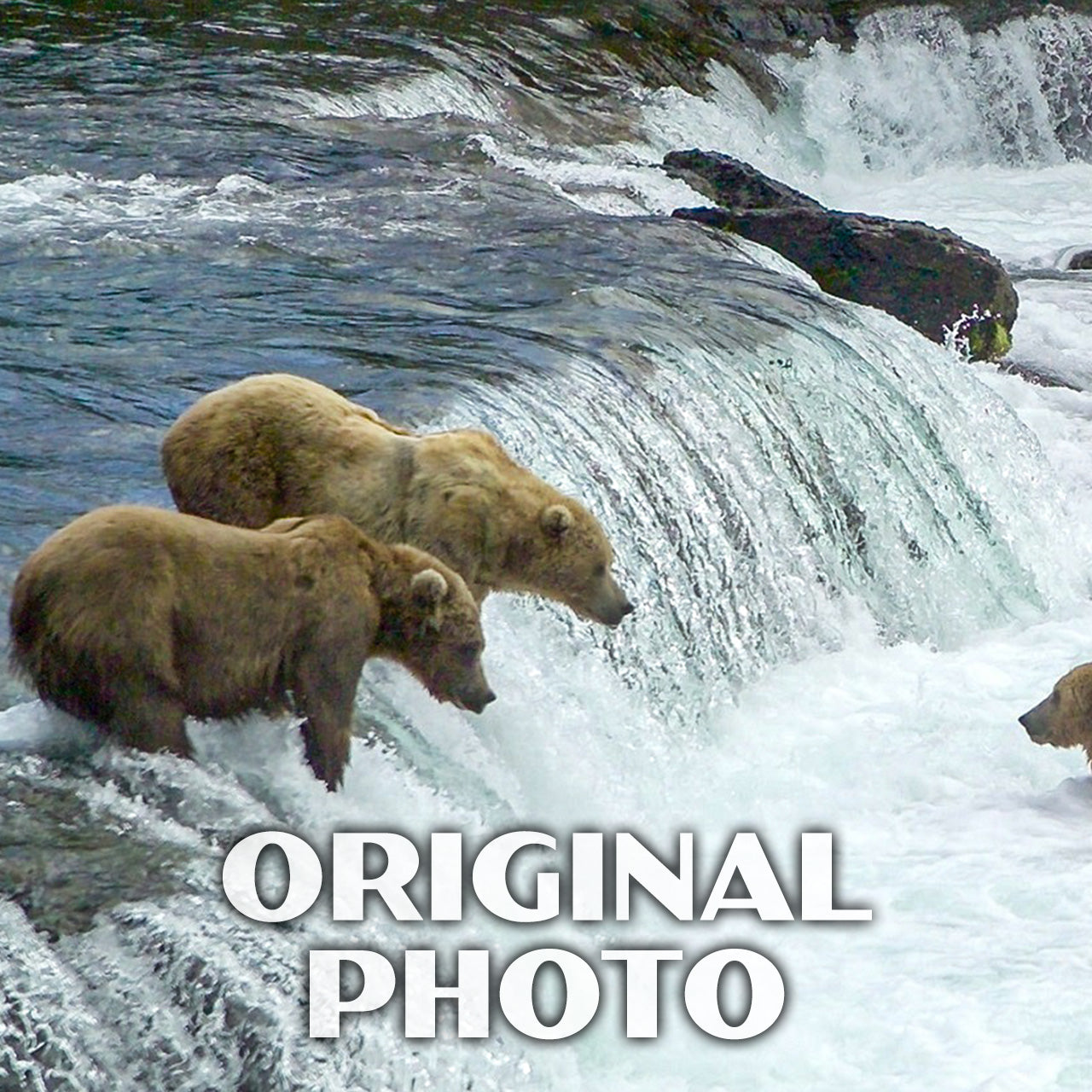 Katmai National Park Poster-WPA (Brooks Falls)