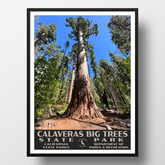 Calaveras Big Trees State Park Poster