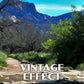 Catalina State Park Poster-WPA (Cargodera Canyon)