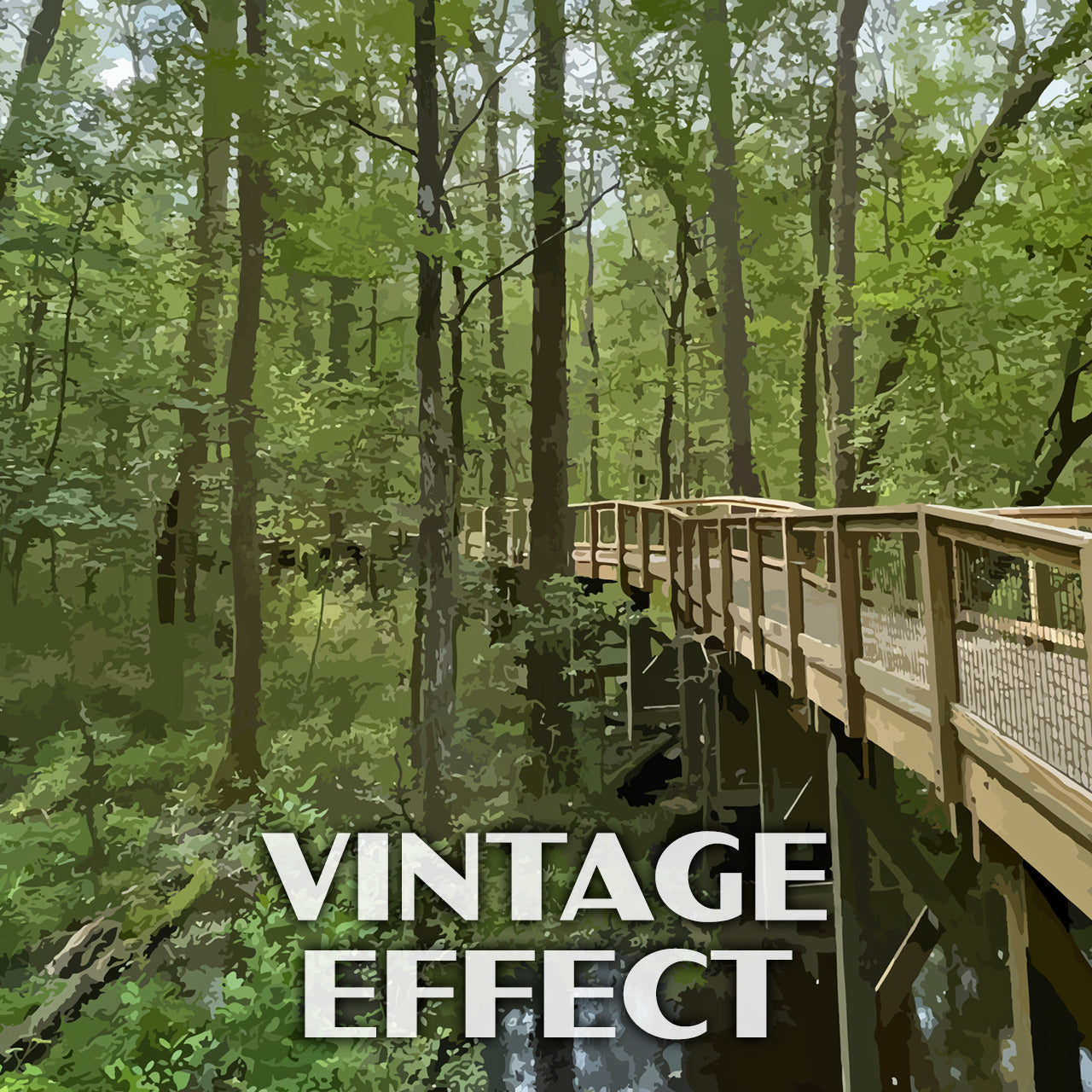 Congaree National Park Poster - WPA (Elevated Boardwalk)