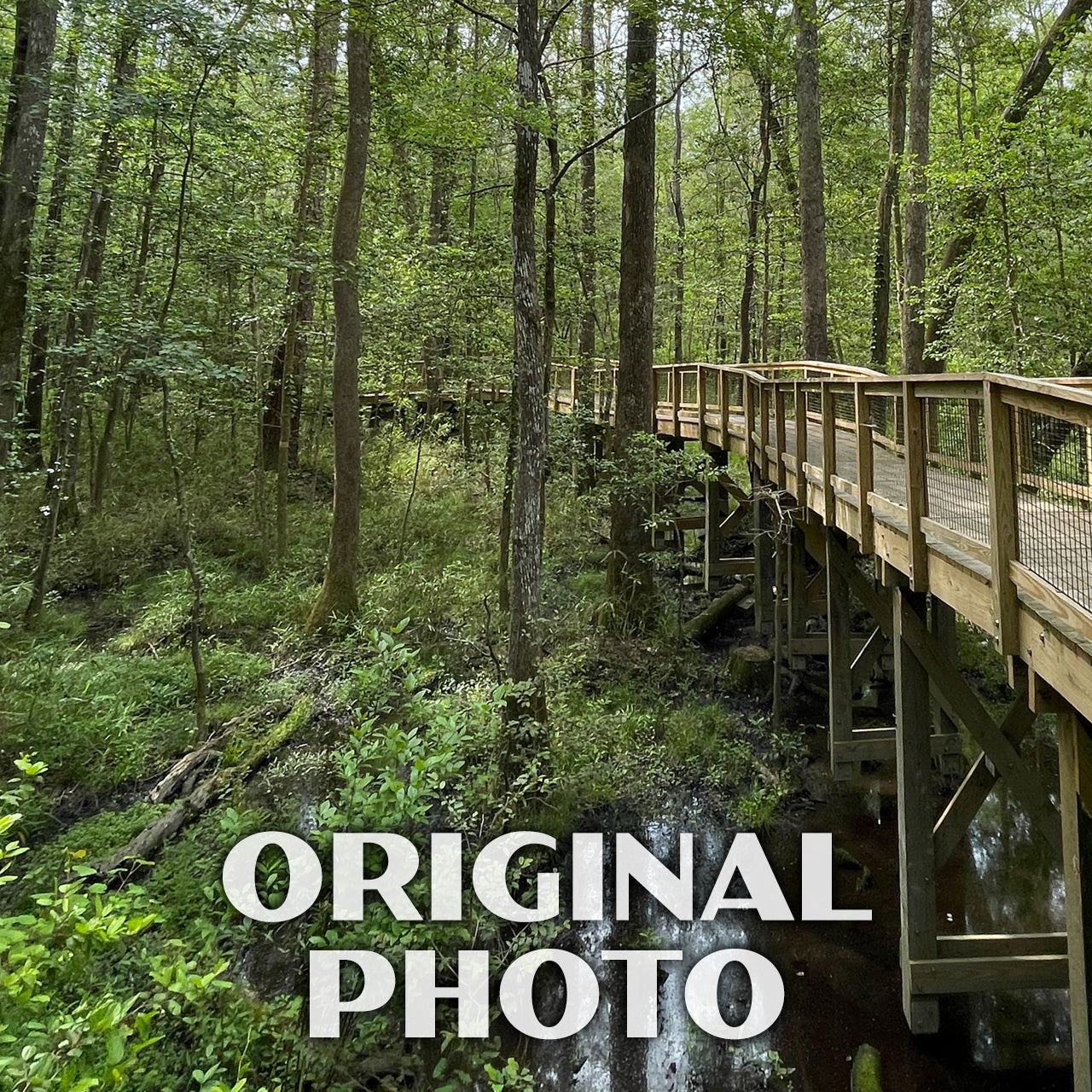 Congaree National Park Poster - WPA (Elevated Boardwalk)