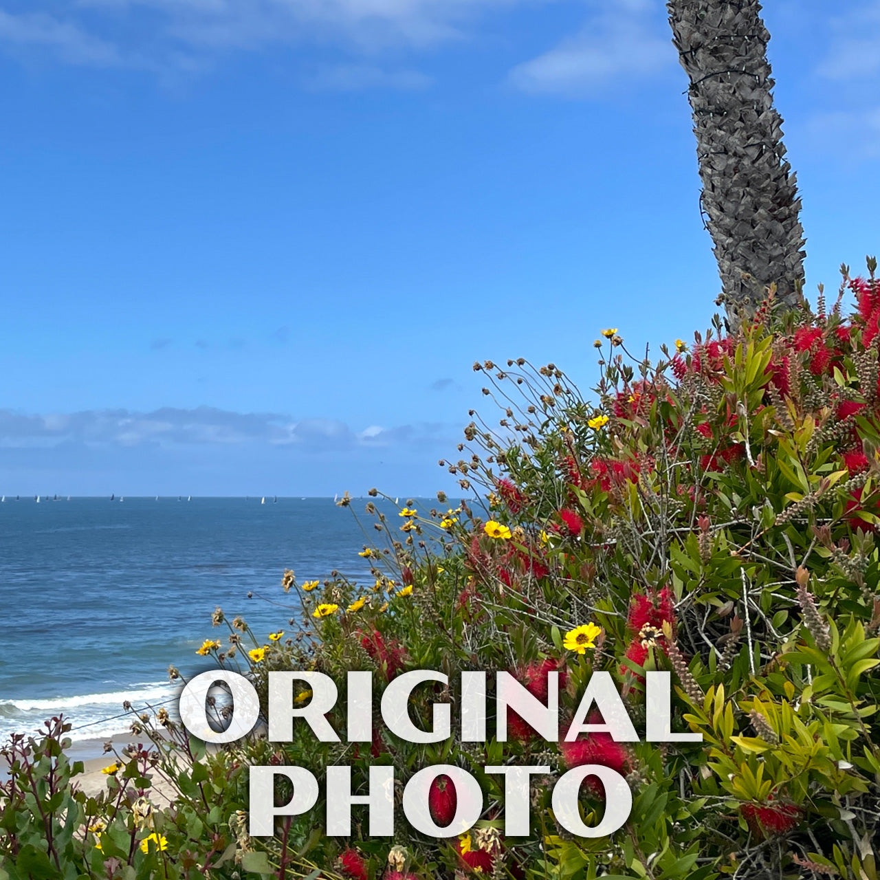 Crystal Cove State Park Poster-WPA (Palm Tree)