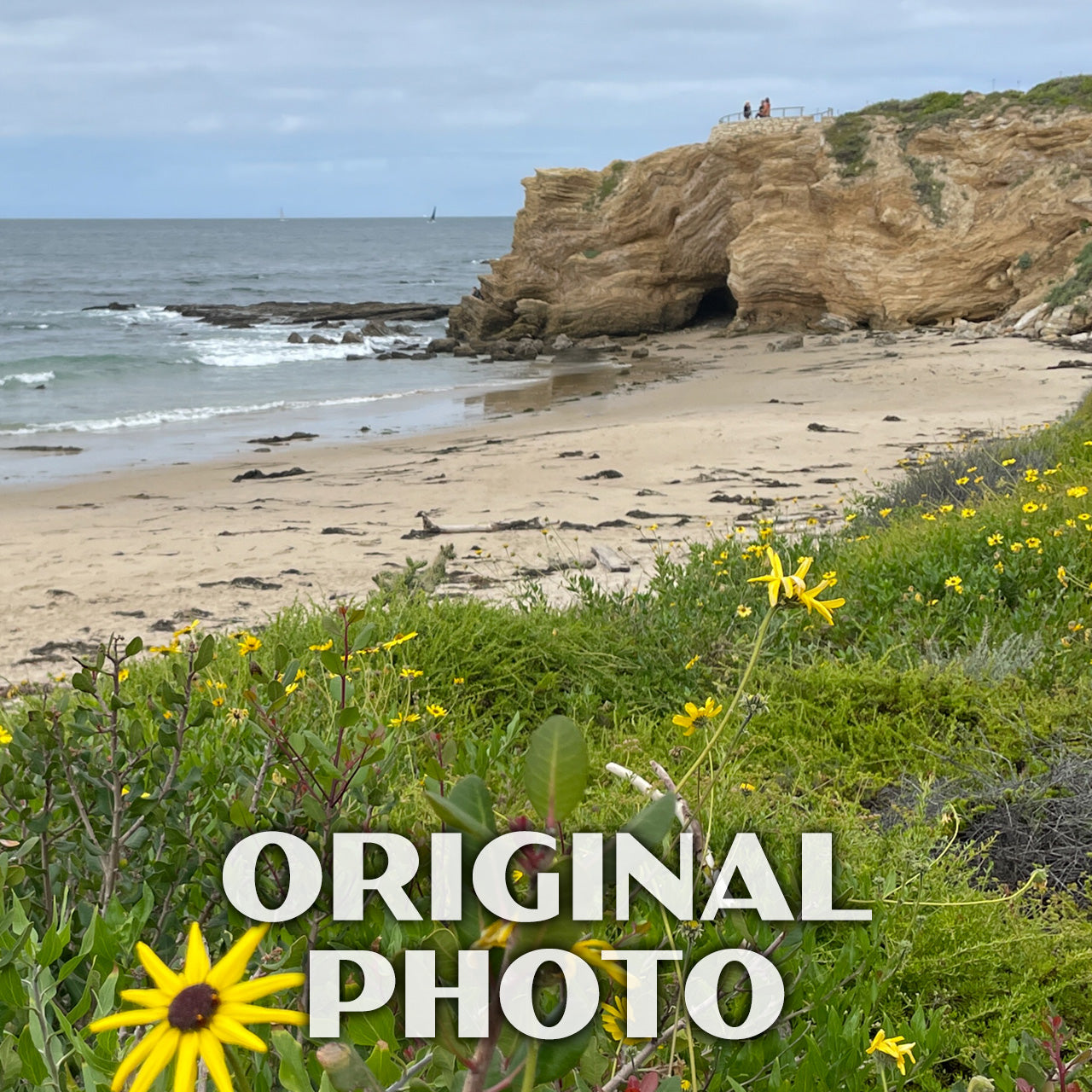 Crystal Cove State Park Poster-WPA (Yellow Flowers)