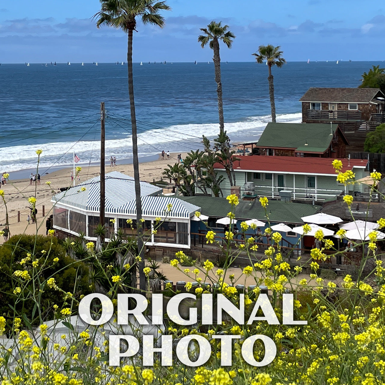 Crystal Cove State Park Poster-WPA (Yellow Flowers and Buildings)