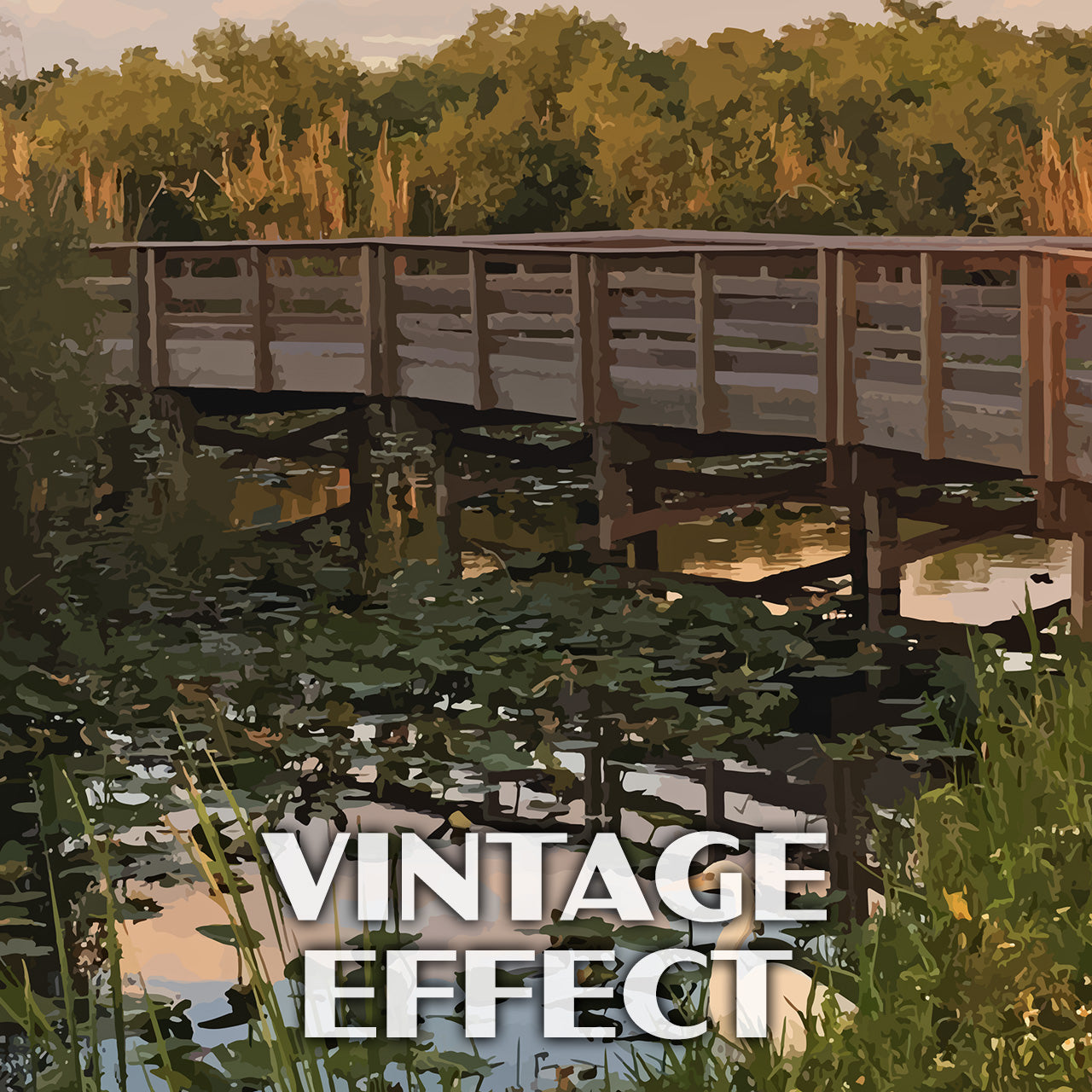 Everglades National Park Poster - WPA (Anhinga Trail)