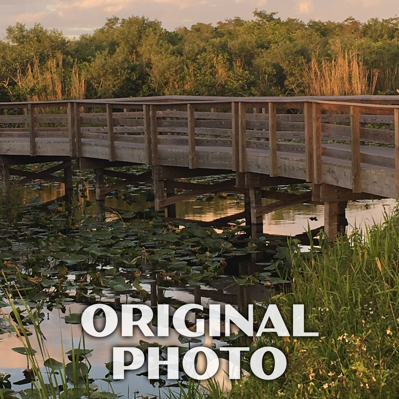 Everglades National Park Poster - WPA (Anhinga Trail)