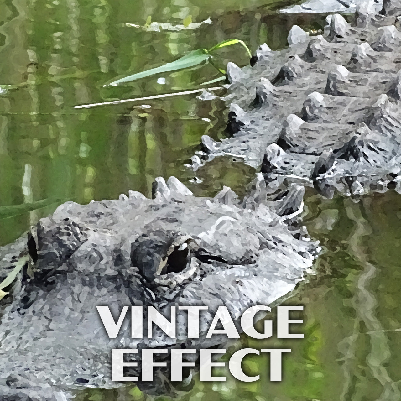 Everglades National Park Poster-WPA (Alligator)