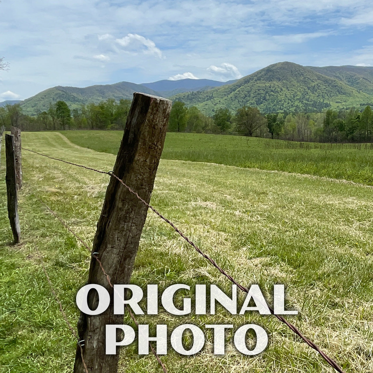 Great Smoky Mountains National Park Poster-WPA (Cades Cove with Road)