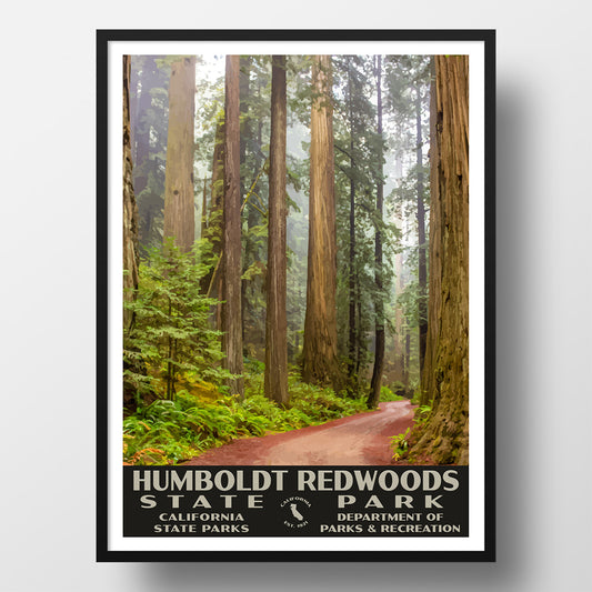 Humboldt Redwoods State Forest Poster