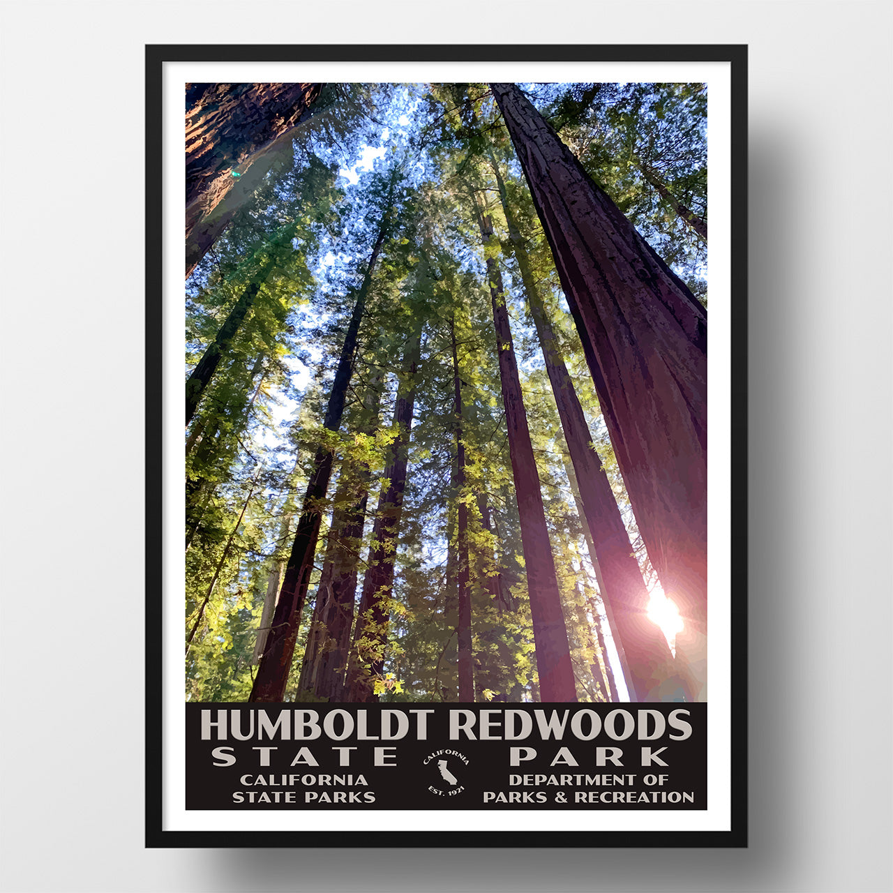 Humboldt Redwoods State Forest Poster