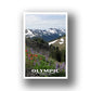 Olympic National Park Poster-WPA SP (Hurricane Ridge)