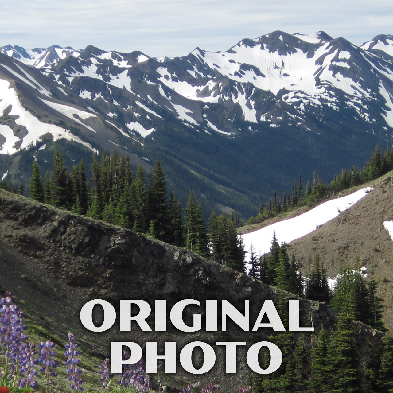 Olympic National Park Poster-WPA SP (Hurricane Ridge)