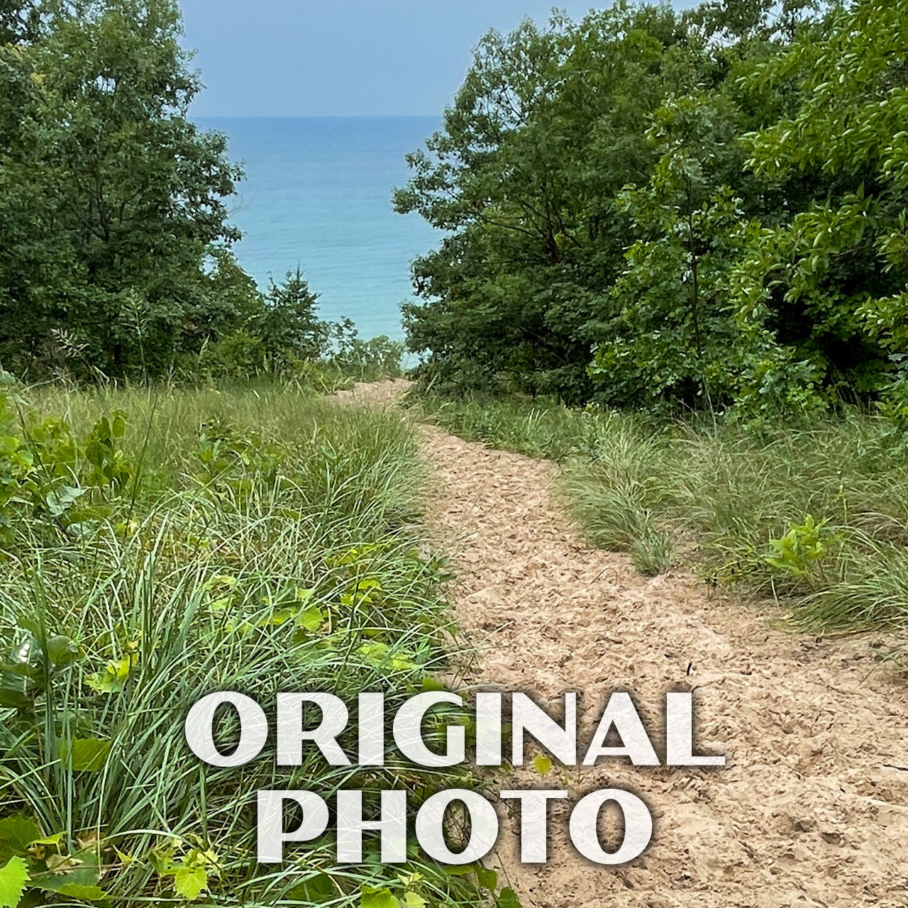 Indiana Dunes State Park Poster-WPA (Dunes Path)