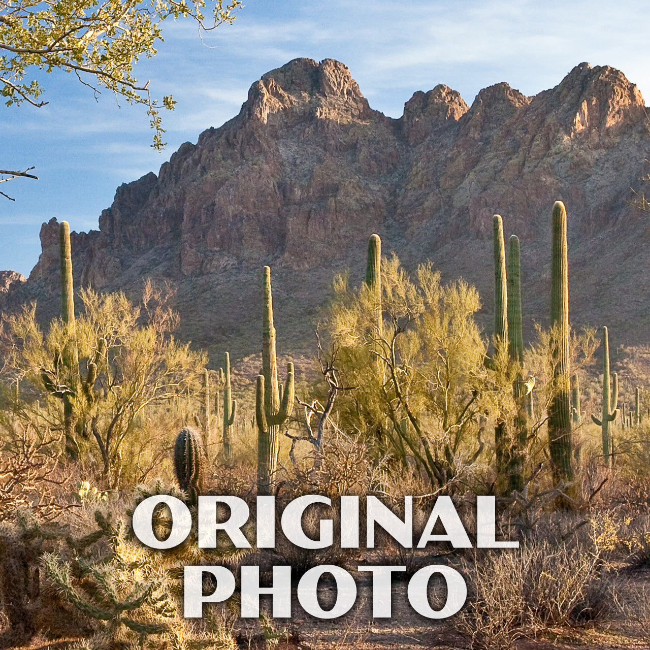 Ironwood Forest National Monument Poster-WPA (Ironwood Forest)