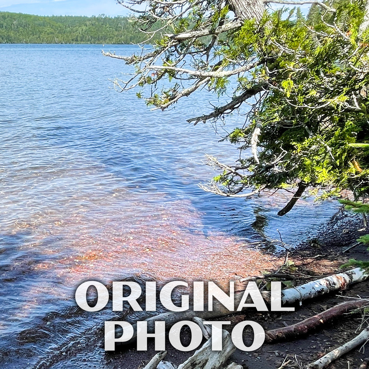 Isle Royale National Park Poster-WPA (Windigo View)