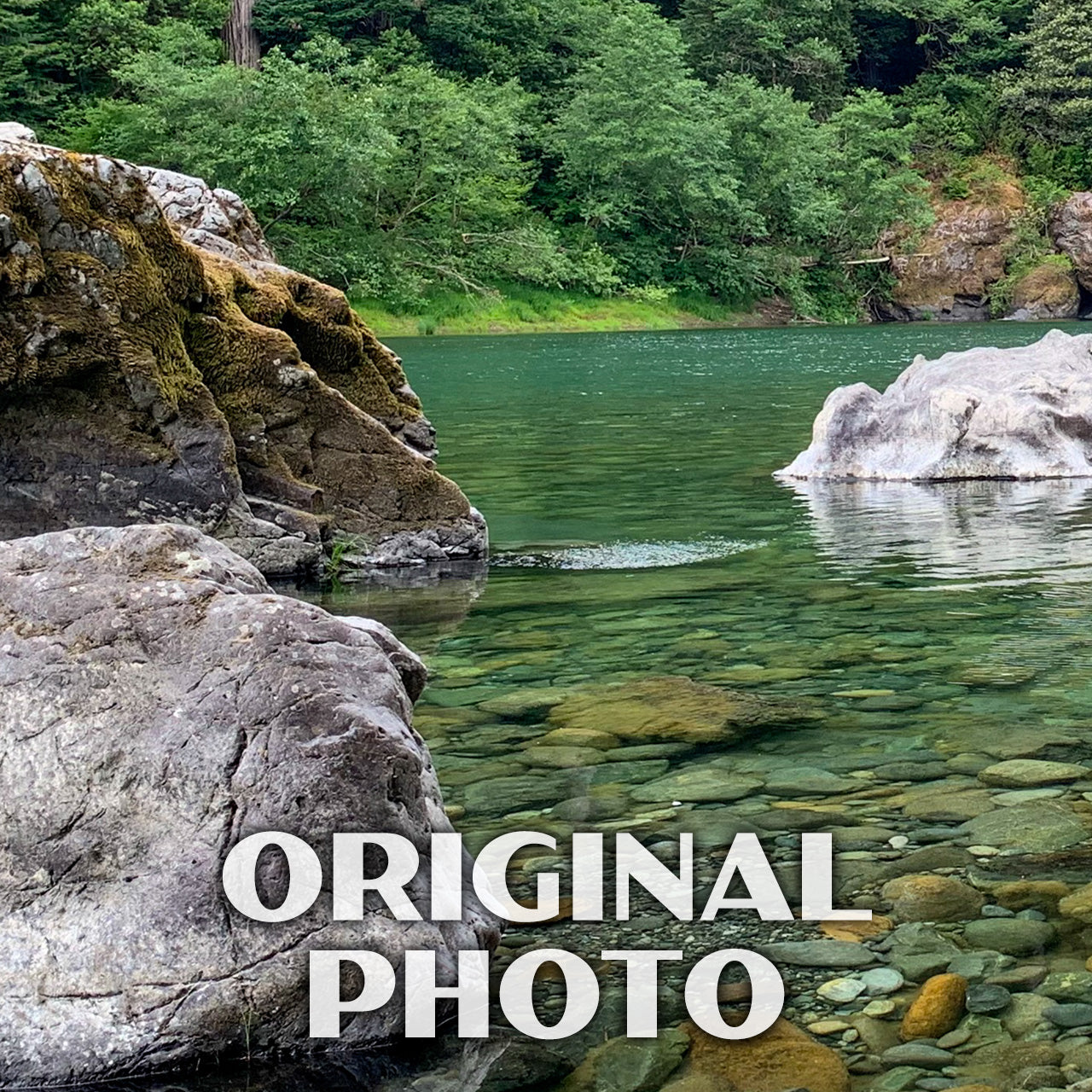 Jedediah high quality Smith Redwoods State Park, Landscape Photography, Metal Print, Large Prints, Del Norte County CA, Northern CA, DJerniganPhoto