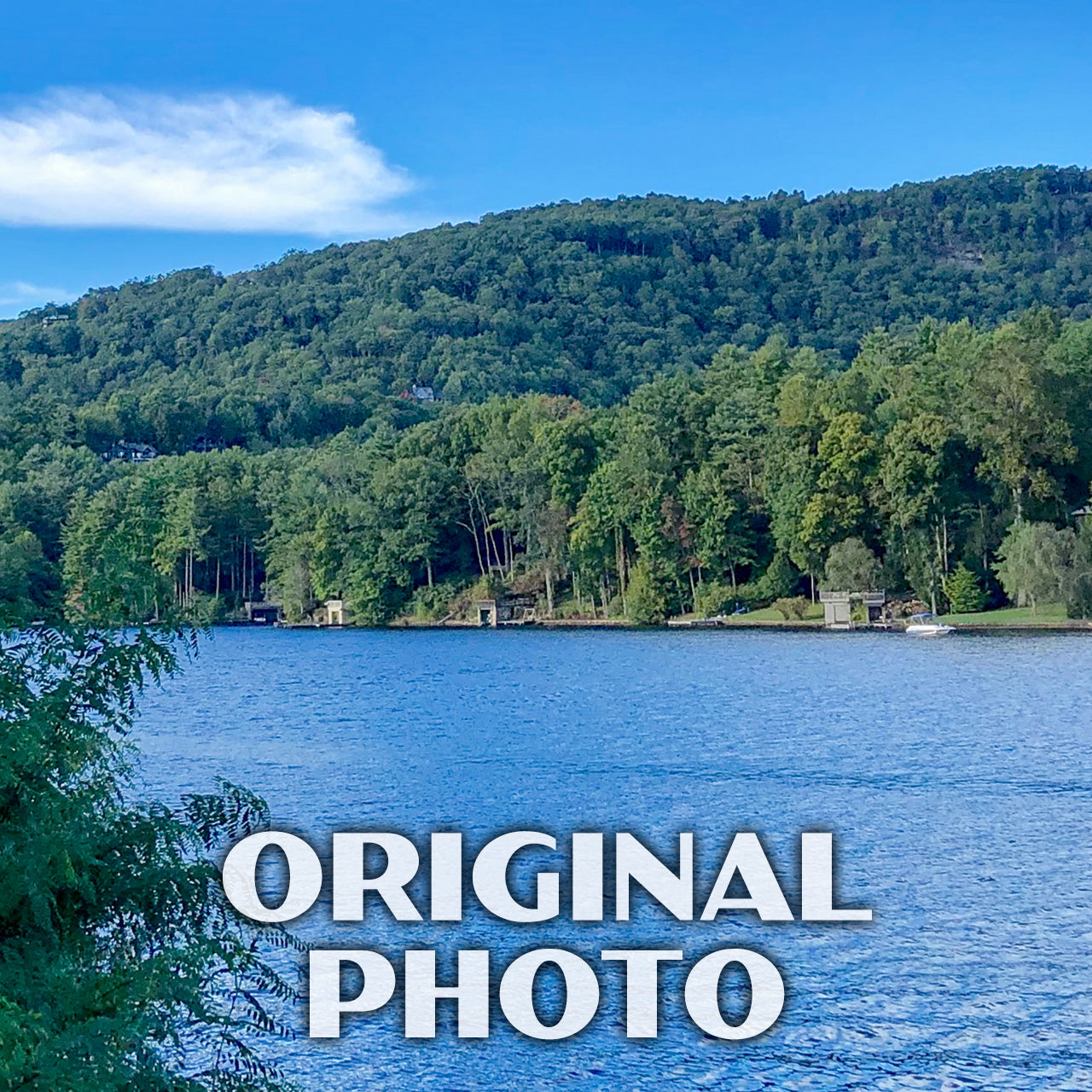 Keowee-Toxaway State Park Poster - WPA (Lake Toxaway)