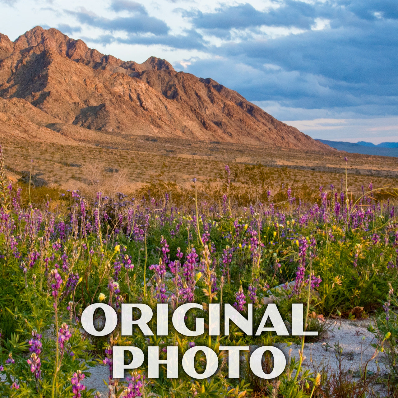 Mojave Trails National Monument Poster-WPA (Mojave Trails)