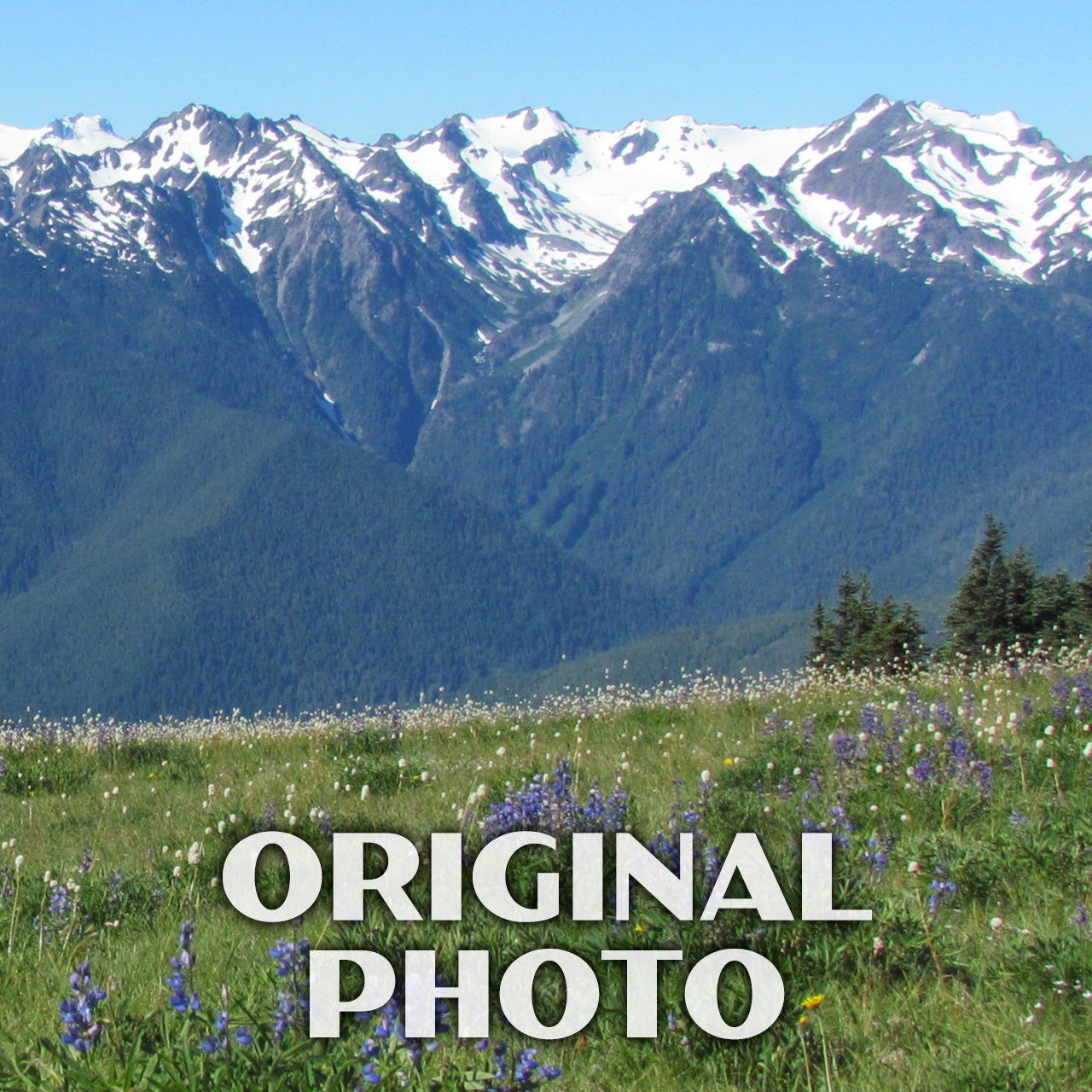 Olympic National Park Poster-WPA (Hurricane Ridge Summer)