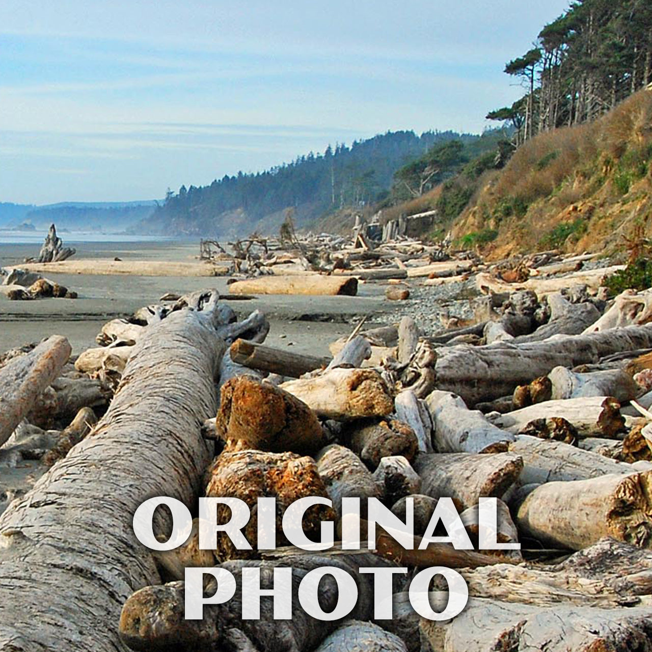 Olympic National Park Poster-WPA (Kalaloch Beach)