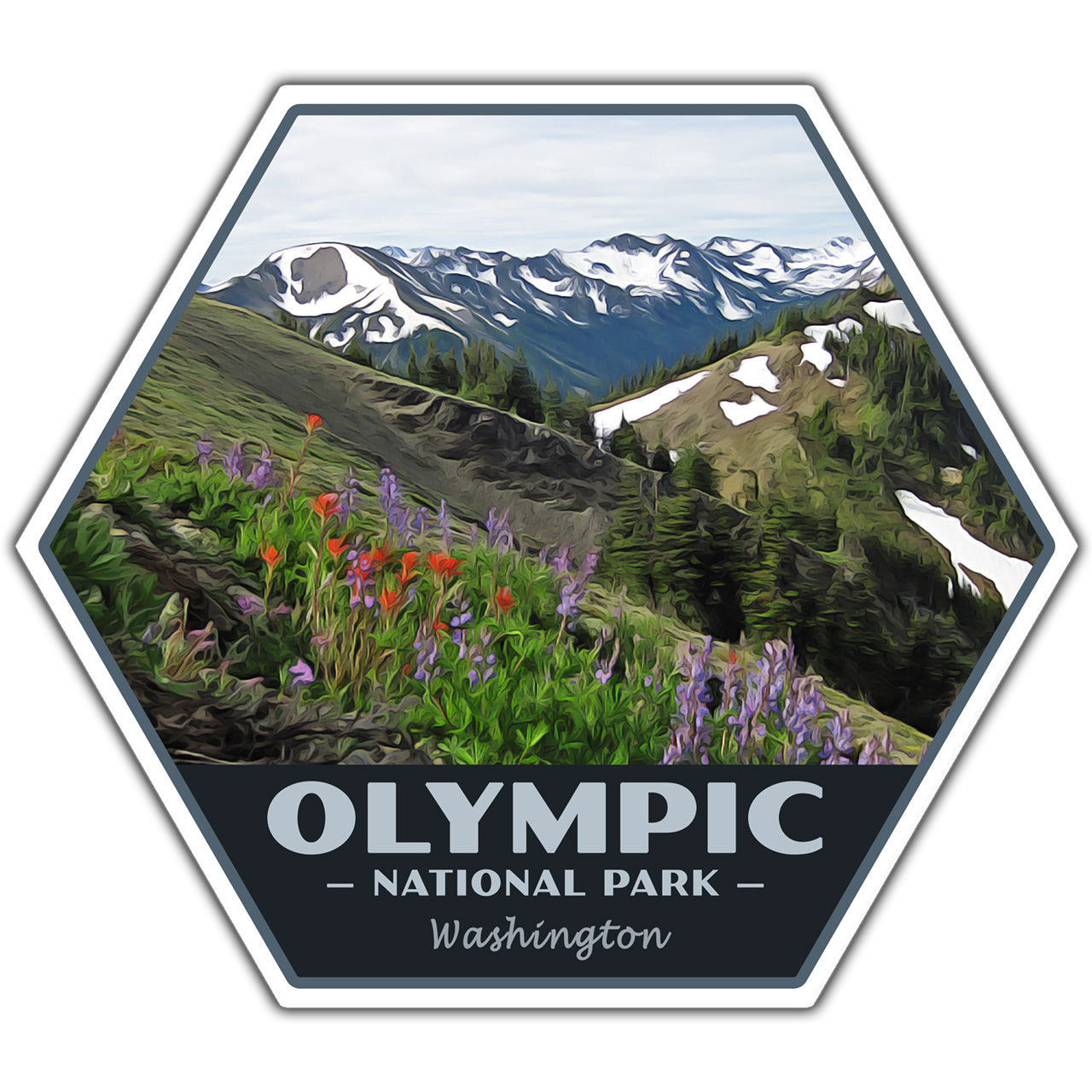 Olympic national park sticker