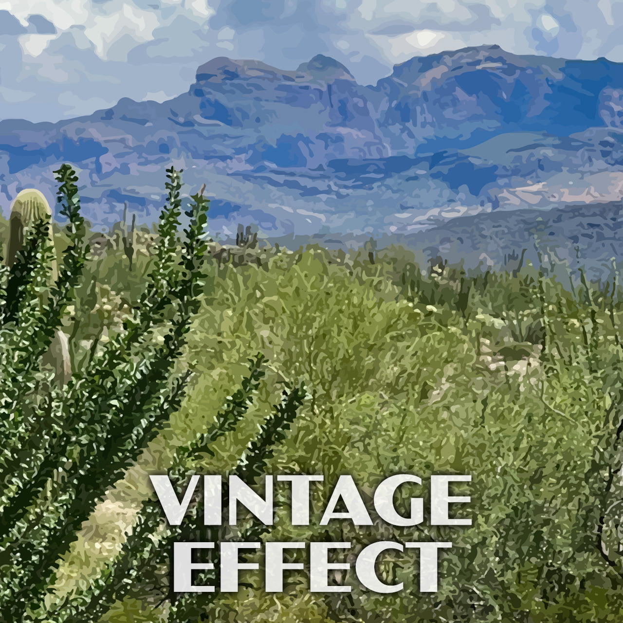 Organ Pipe Cactus National Monument Poster-WPA (Ajo Mountain Range)