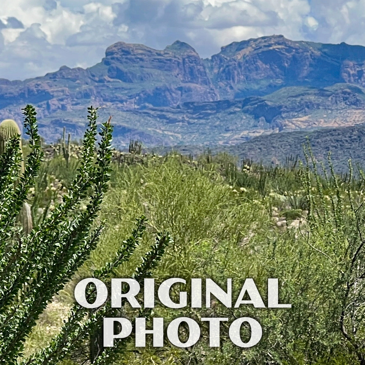 Organ Pipe Cactus National Monument Poster-WPA (Ajo Mountain Range)