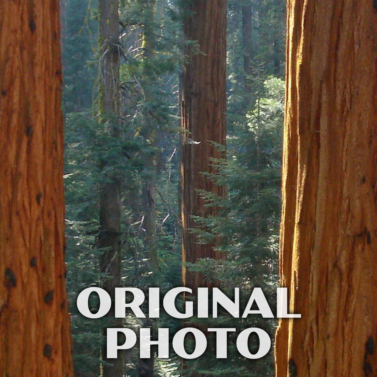 Sequoia National Park Poster-WPA (Grant Grove)